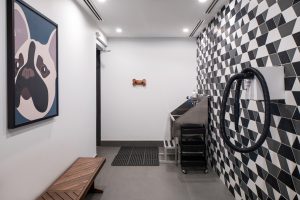 Pet Spa